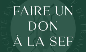 Don