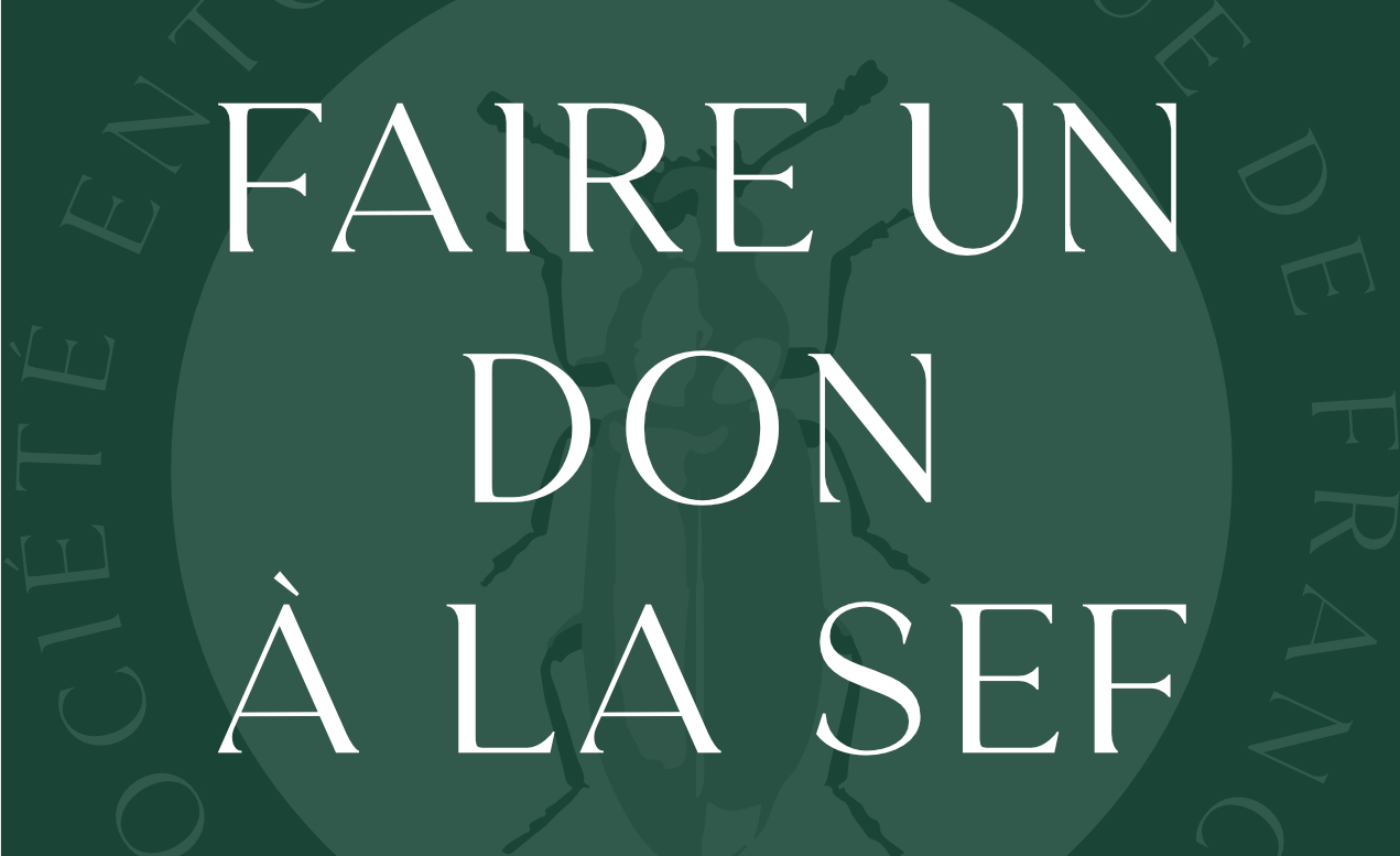 Don