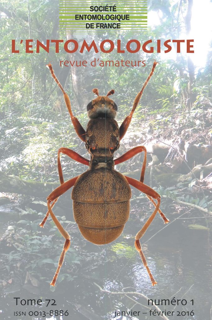 ジャン＝エミール・ラボルール 昆虫学者 (L' Entomologiste) Insetos